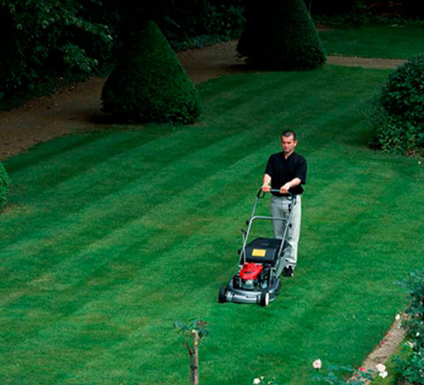 английский стиль кошения травы